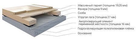 Турнирный про спорт