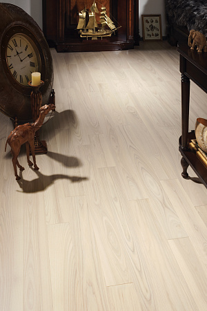 ЛУННЫЙ СВЕТ