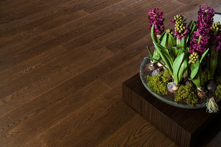 БРАЗИЛЬСКИЙ ОРЕХ